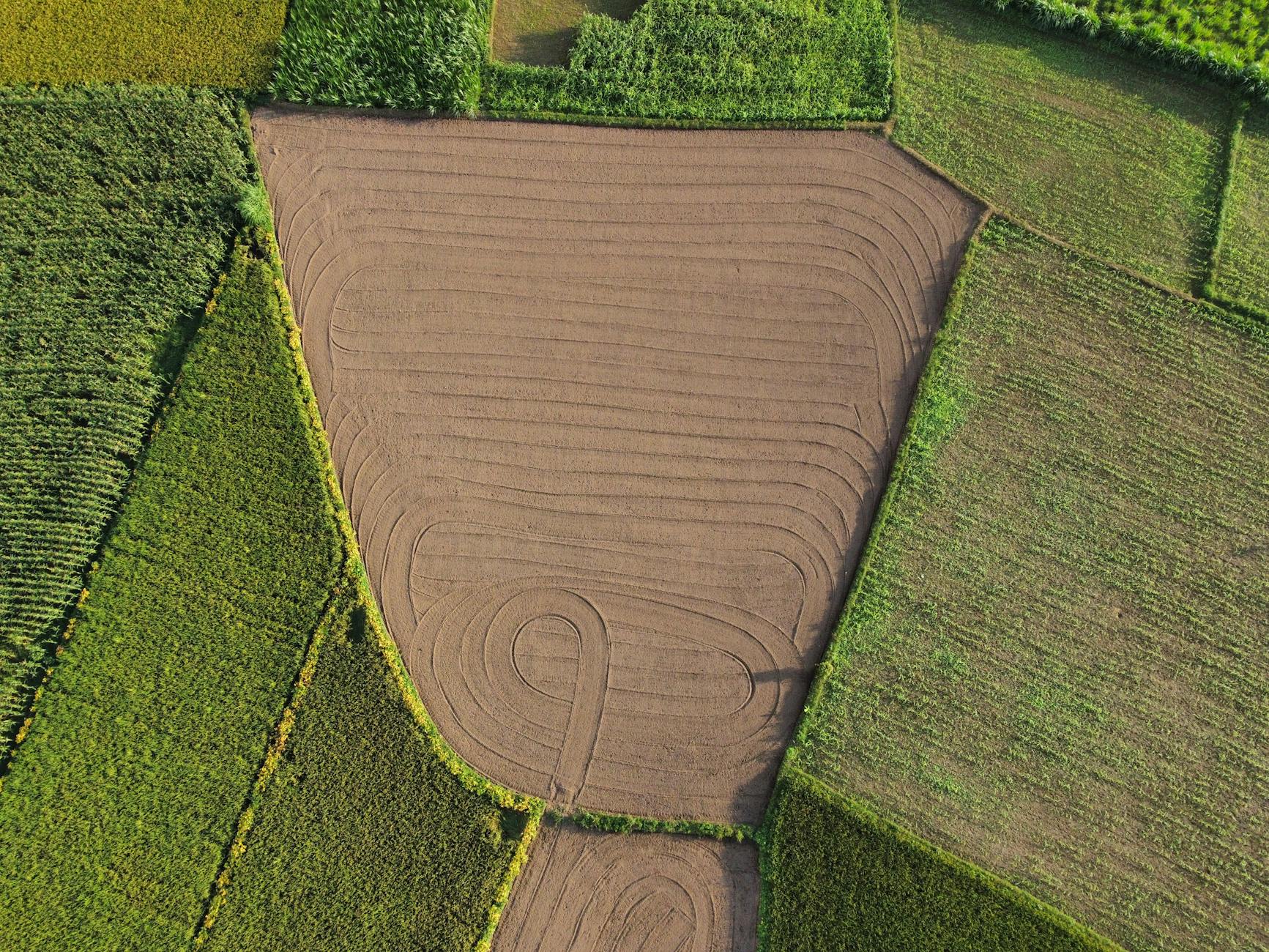 Mozaika kolorowych pól uprawnych widziana z lotu ptaka